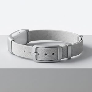 accessoires-high-tech category image