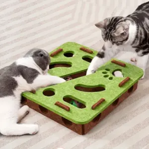 Jouet interactif pour chat : boîte labyrinthe tournante, divertissement multi-scénarios, résistant aux griffures, jeu autonome pour chatons