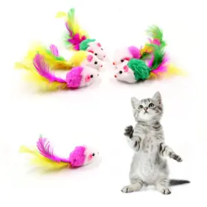 Jouets en polaire doux pour chat, fausse souris, plumes colorées, Mini, amusant, entraînement, jouets interactifs pour chats, chaton, fournitures pour animaux de compagnie