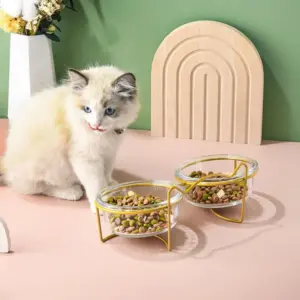 Bol en verre double paroi pour chat et chien avec support en fer doré surélevé, gamelle d'eau surélevée, accessoires pour animaux de compagnie, chat et chien