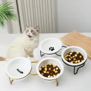 1 ensemble de bols surélevés en céramique pour chat, 1 ensemble de bols de nourriture et d'eau antidérapants pour chat avec support en fer, mangeoire inclinable surélevée pour chat