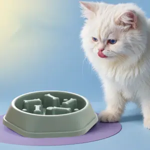 Bols d'alimentation lente pour chats et chiens, nourriture Anti-étouffement pour animaux de compagnie de petite race, mangeoire antidérapante pour chien et chat, plat de bol pour fournitures pour animaux de compagnie