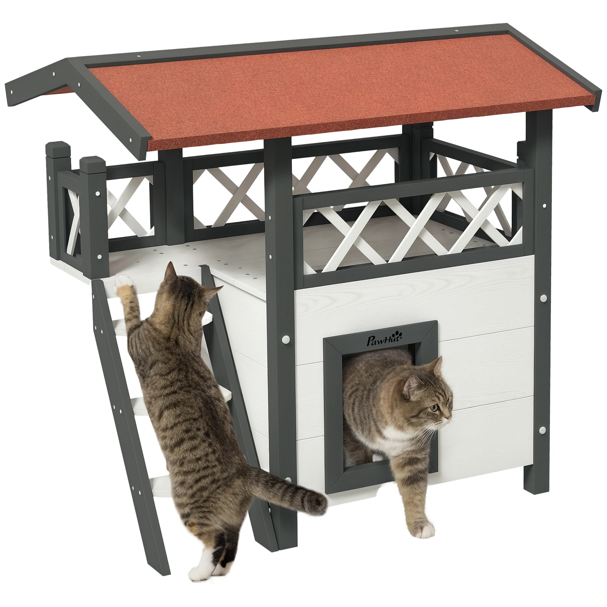 Chalet bois extérieur pour chat avec terrasse et échelle