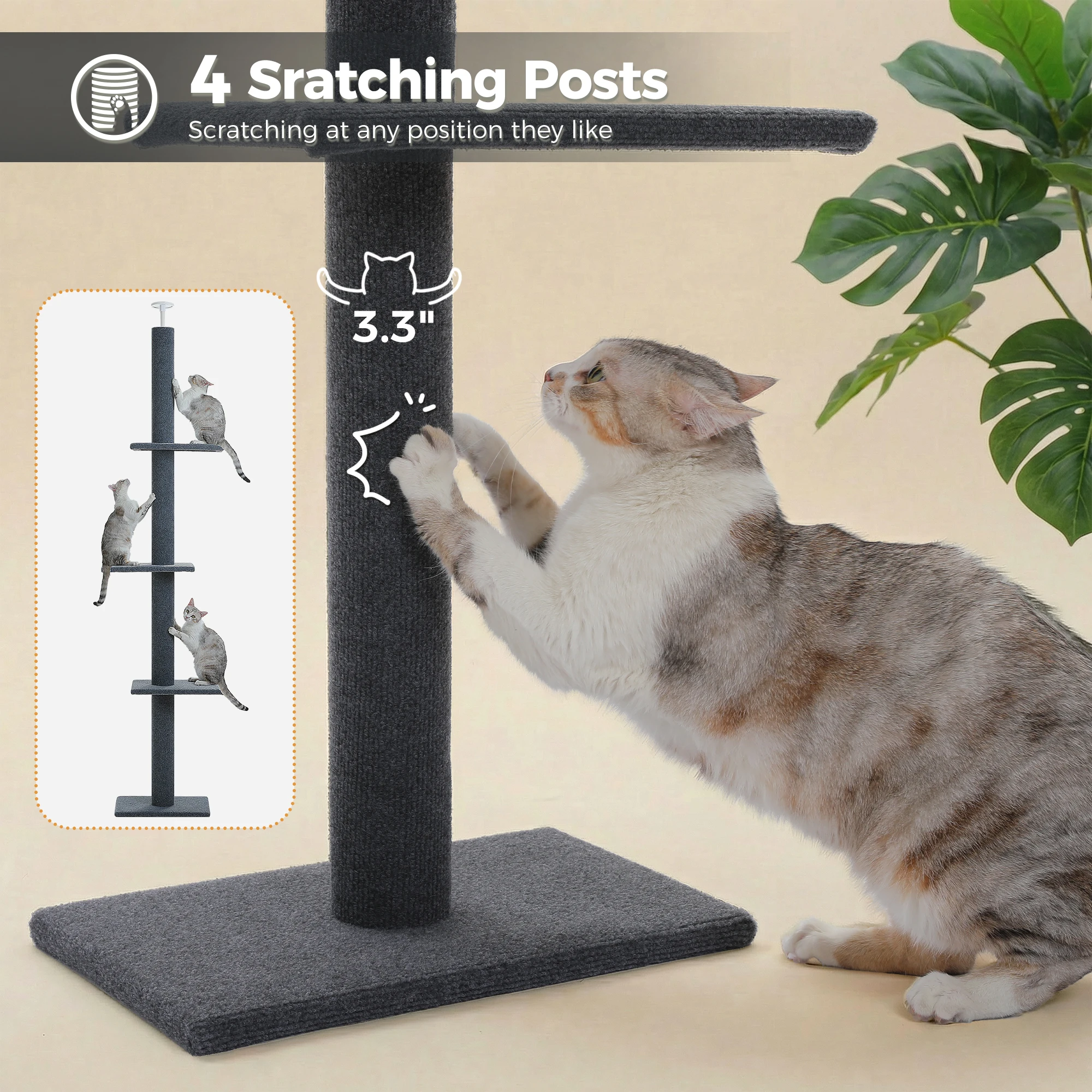 Arbre à chat extensible du sol au plafond avec zones de grattage – Image 3