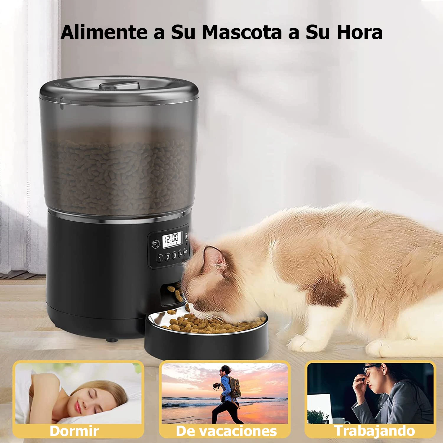 Distributeur automatique de croquettes 4L avec programmateur