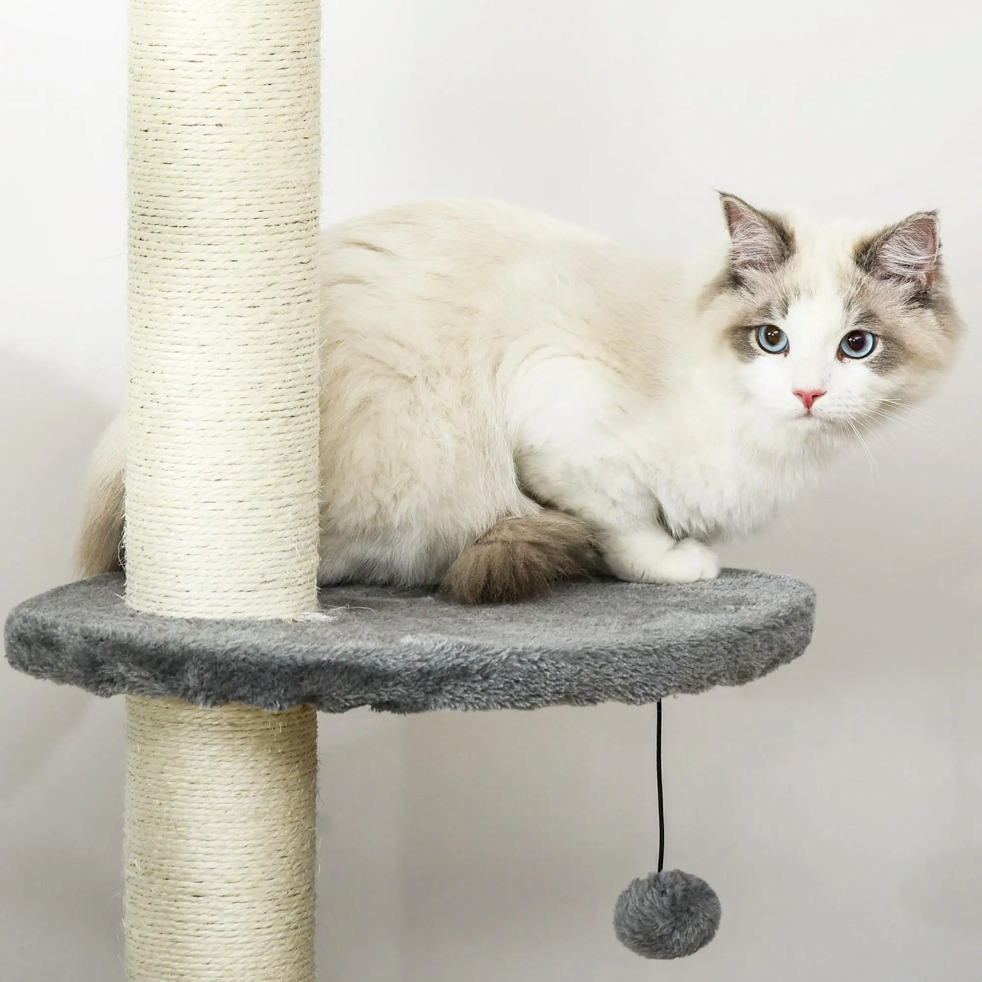 Arbre à chat télescopique avec grotte et griffoir
