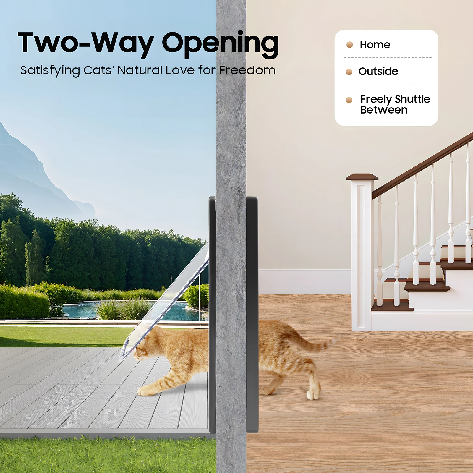 Porte d'accès silencieuse à 4 modes pour chien et chat, installation murale – Image 3
