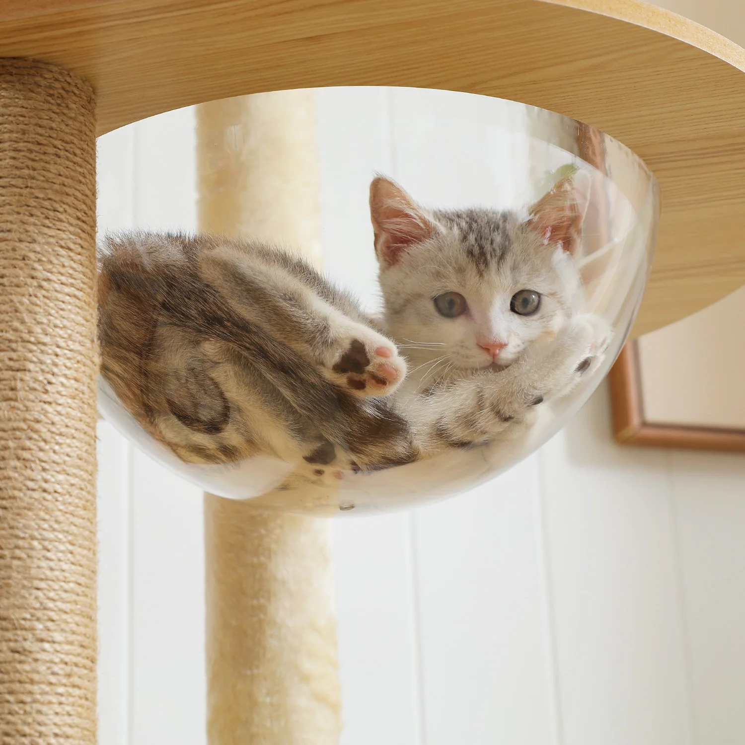 Arbre à chats multi-niveaux avec hamac et griffoirs en sisal – Image 3
