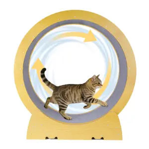 Tapis de course pour chat silencieux et sécurisé