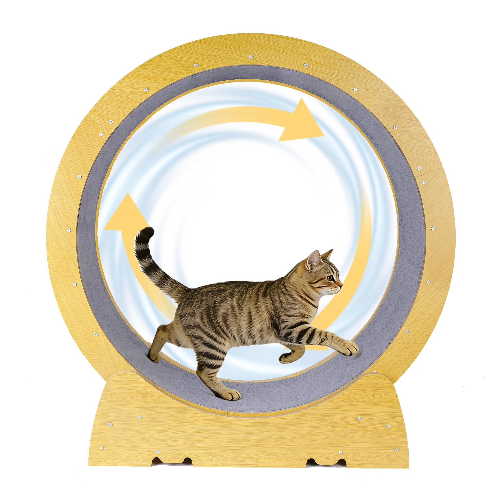 Tapis de course pour chat silencieux et sécurisé