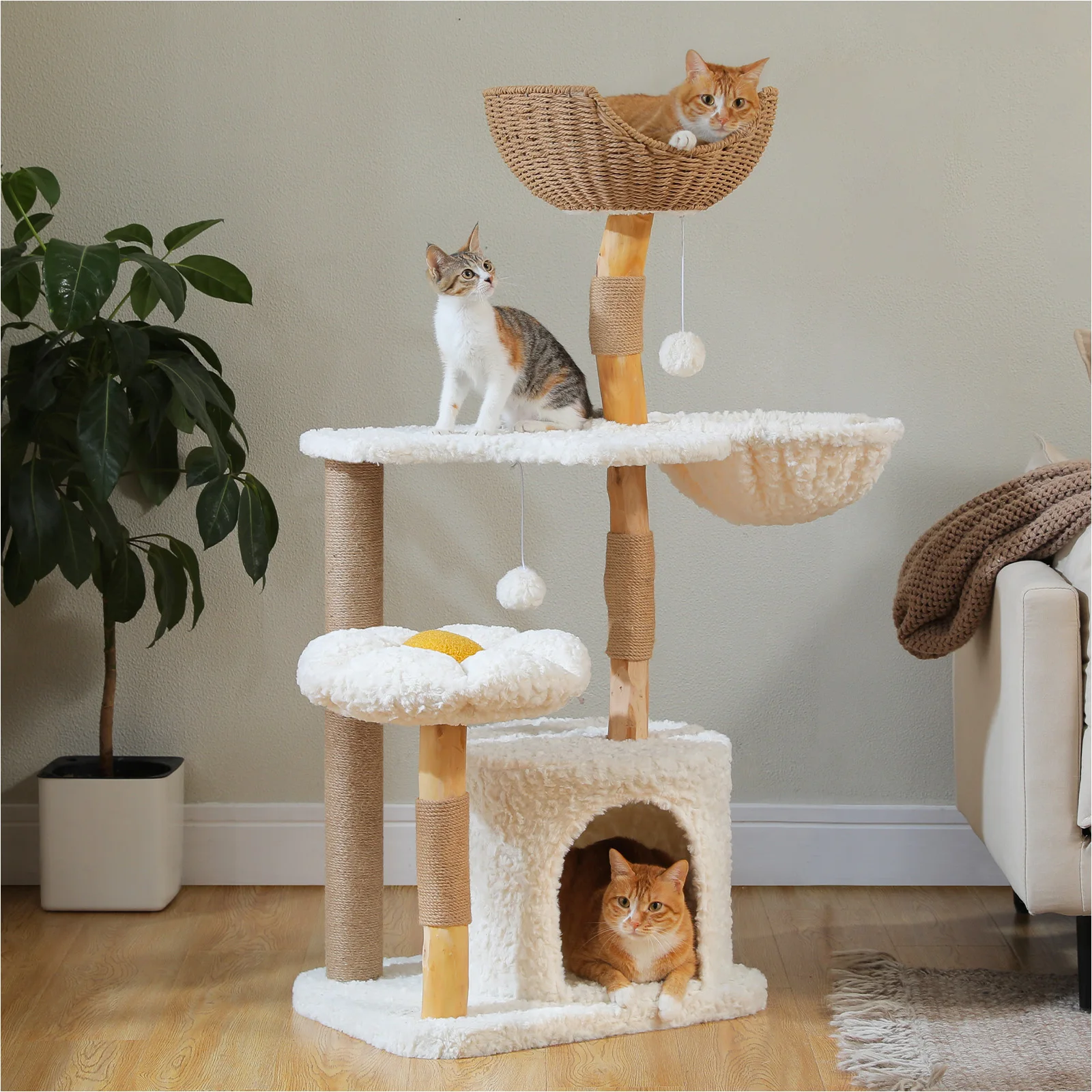 Arbre à chat design en bois massif avec condo et hamac
