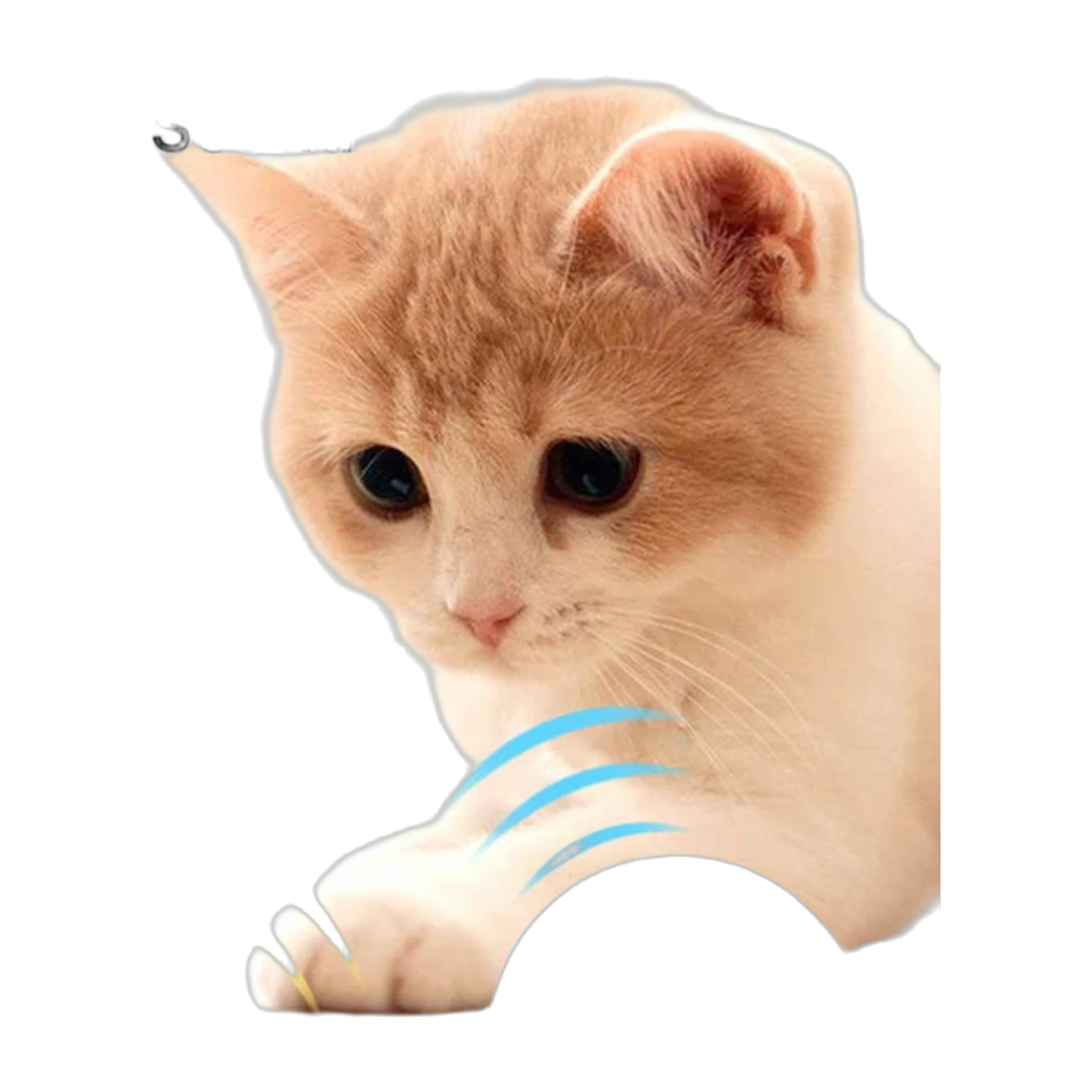 Balle tactile interactive sons animaux pour chat