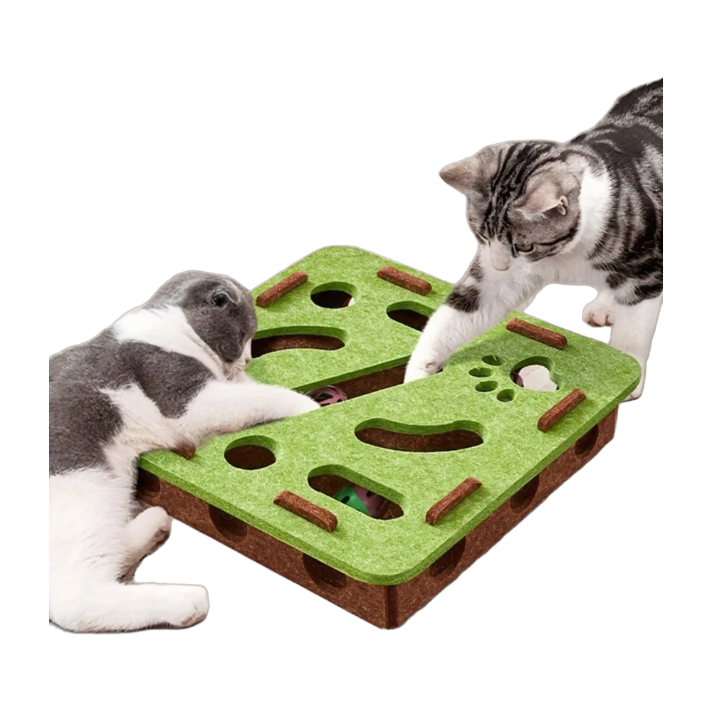 Labyrinthe tournant interactif pour chat
