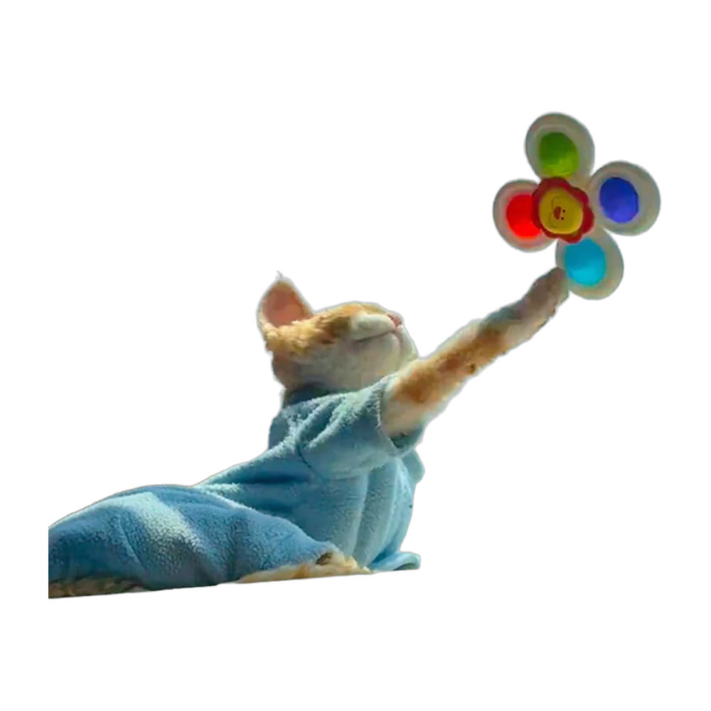 Jouets de bain pour chat 3 pièces