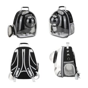 Sac de transport transparent pour chat