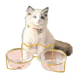 Gamelle en verre surélevée support doré