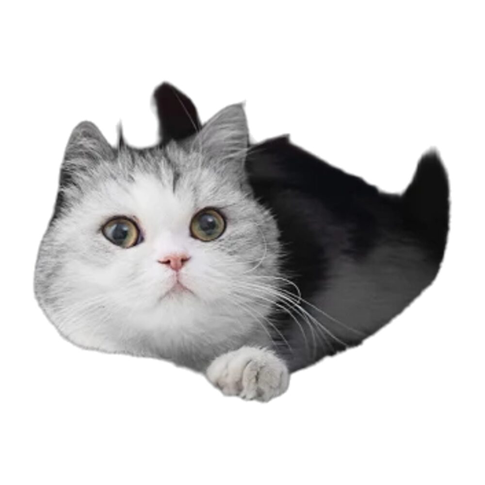 Lit grotte en coton confortable pour chat – Image 2
