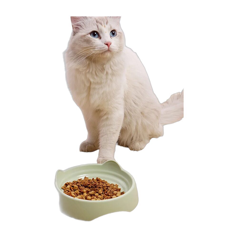 Bol alimentation pour chat et chien en plastique – Image 3
